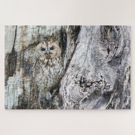 Uil Camouflage Wilde Dier Roofvogel Roofdier Vogel Legpuzzel (Horizontaal)
