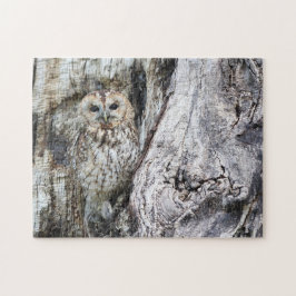 Uil Camouflage Wilde Dieren Roofvogel Roofdier Vog Legpuzzel