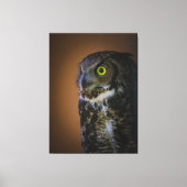 uil canvas afdruk (Voorkant)