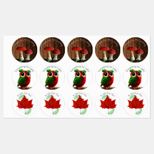 Uil, champignons, rood blad en varens labels