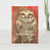 Uil 'Denken aan jou' Wenskaart Kaart (Achterkant)