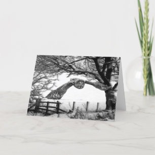 Uil die in de sneeuw vliegen feestdagen kaart