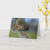 Uil die over vliegen kaart (Gele Bloem)