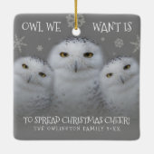 Uil die we willen verspreiden Kerst Cheer Snowy Ui Keramisch Ornament (Achterkant)