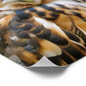 Uil Dier Natuur Wildlife Affection Caring Poster (Hoek)