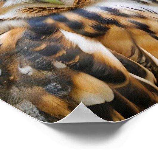 Uil Dier Natuur Wildlife Affection Caring Poster (Hoek)