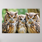 Uil Dier Natuur Wildlife Affection Caring Poster (Voorkant)