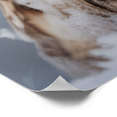 Uil Dierlijke Vogel Schoonheid Vrijheid Wildernis  Poster (Hoek)