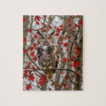 Uil en esdoornbladeren