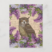  uil en lila briefkaart (Voorkant)