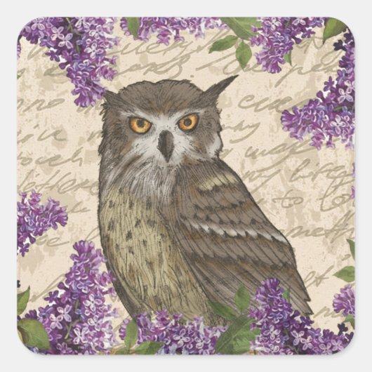  uil en lila vierkante sticker (Voorkant)