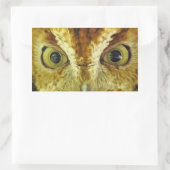 Uil Eyes Screech Uil Sticker (Tas)