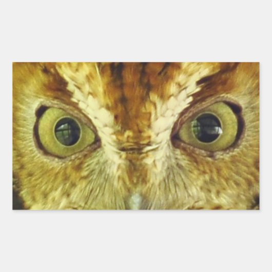 Uil Eyes Screech Uil Sticker (Voorkant)