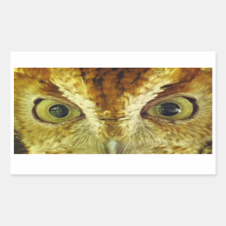 Uil Eyes Screech Uil Sticker