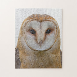 Uil Face Bird Wildlife Legpuzzel