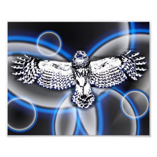 Uil Foto Afdruk (Voorkant)