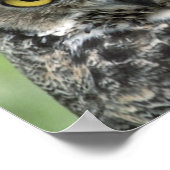 Uil Foto Poster (Hoek)