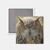 Uil foto vierkante magneet (Voorkant / Achterkant)
