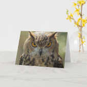 Uil Foto Wenskaart Kaart (Gele Bloem)