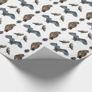 Uil Frenzy Inpakpapier (kies kleur)