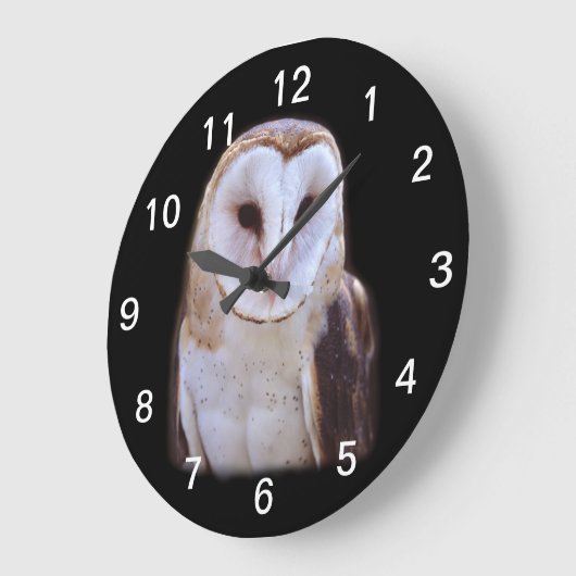 uil grote klok (Hoek)