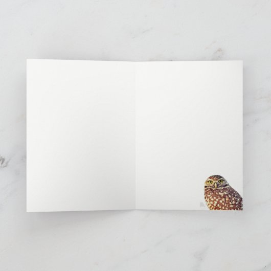 Uil houdt altijd van je All Occasion Wenskaart Kaart (Binnen)