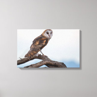 Uil in canvas verpakt afdruk