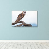 Uil in canvas verpakt afdruk (Insitu (Houten vloer))