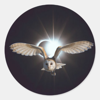 Uil in de ruimte ronde sticker
