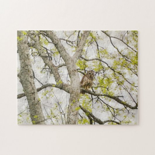 Uil in een Boom Natuur Puzzel (Horizontaal)