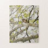  Uil in een Boom Natuur Puzzel Legpuzzel (Verticaal)