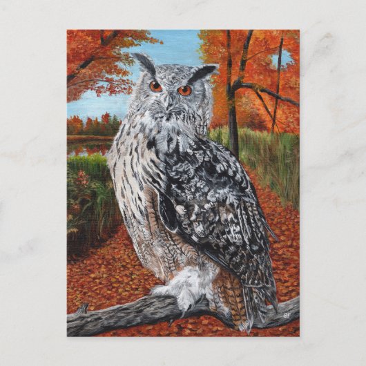 Uil in herfstbos fijnkunst briefkaart (Voorkant)