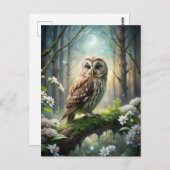 Uil in het bos briefkaart (Voorkant / Achterkant)