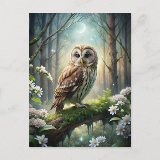 Uil in het bos briefkaart (Voorkant)