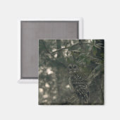 Uil in het bos magneet (Voorkant / Achterkant)