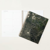 Uil in het bos planner (Display)