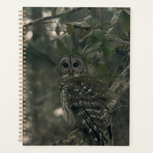 Uil in het bos planner (Voorkant)
