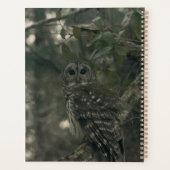 Uil in het bos planner (Achterkant)