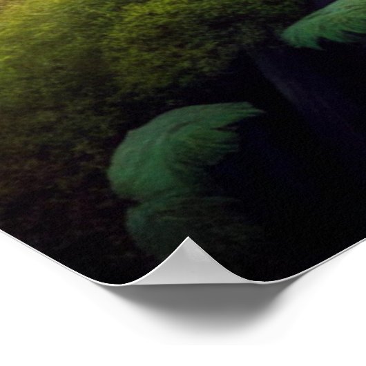 Uil in het bos poster (Hoek)