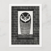  Uil in het Venster Briefkaart (Voorkant)