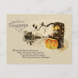 Uil Jack O' Lantern Pompoen Boom Briefkaart