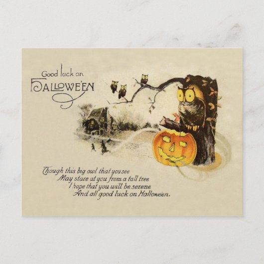Uil Jack O' Lantern Pompoen Boom Briefkaart (Voorkant)