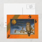 Uil Jack O Lantern Pompoen Briefkaart (Voorkant / Achterkant)