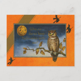 Uil Jack O Lantern Pompoen Briefkaart