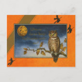 Uil Jack O Lantern Pumpkin Briefkaart (Voorkant)
