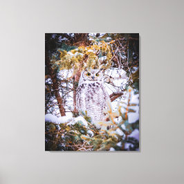 Uil Kaart Canvas Afdruk