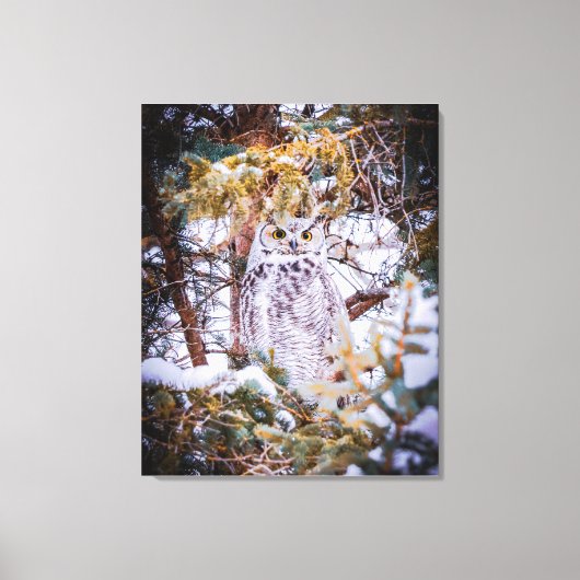 Uil Kaart Canvas Afdruk (Voorkant)