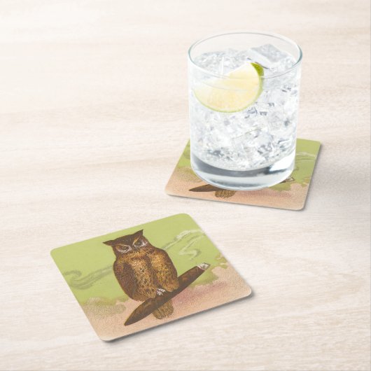 Uil Kartonnen Onderzetters (Insitu)