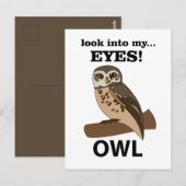 Uil kijk in mijn ogen uil briefkaart (Voorkant / Achterkant)