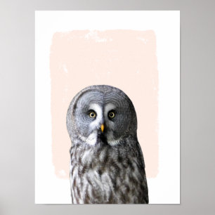 Uil kinderkamer muur kunst dier portret poster